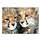 Cheetah Cubs Wall Art Print