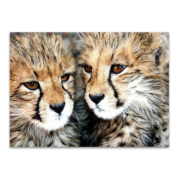 Cheetah Cubs Wall Art Print