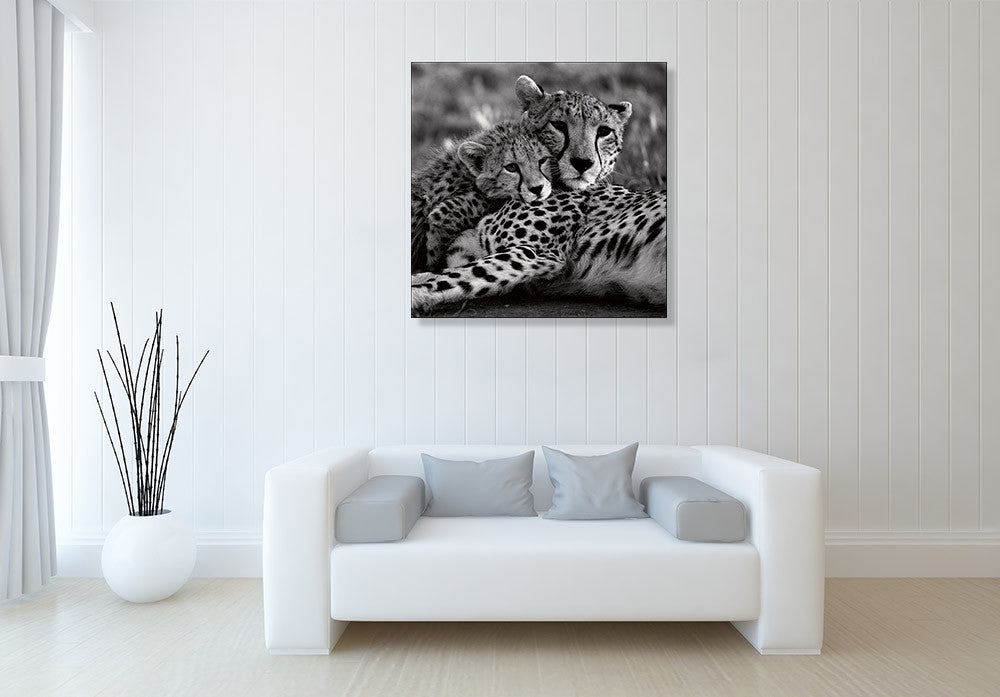Cheetah With Cub Wall Art Print on the wall
