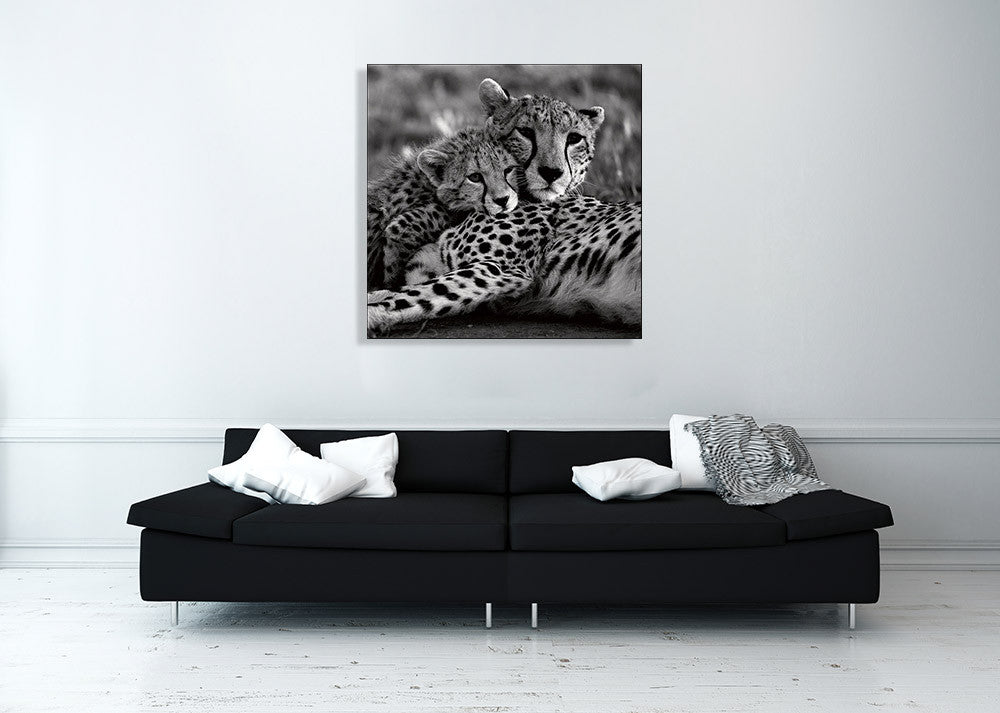 Cheetah With Cub Wall Art Print on the wall