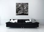 Cheetah With Cub Wall Art Print on the wall