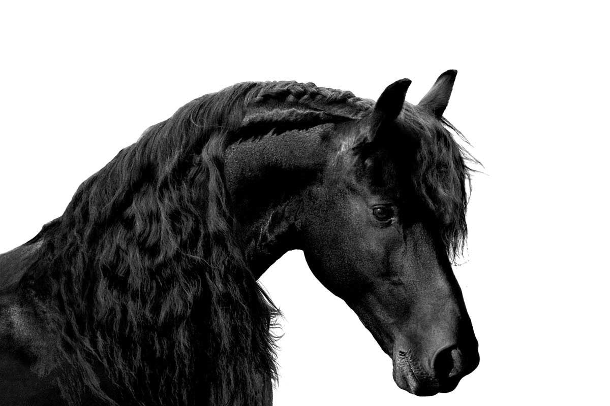 Classic Black I Wall Art Print