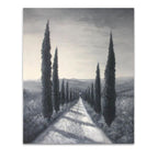 Coniferous Trees