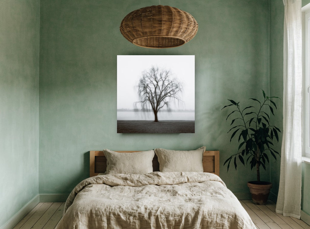 Willow in the Mist landscape canvas print on the wall of a bedroom