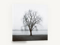 Willow in the Mist, misty willow tree black and white photograph, landscape canvas wall art print ready to hang