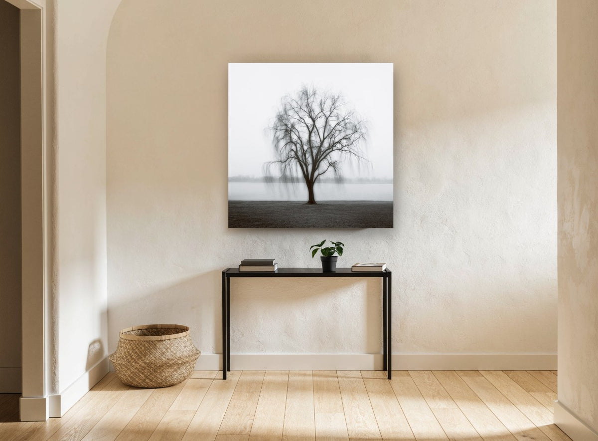 Willow in the Mist landscape canvas print on the wall of a hallway