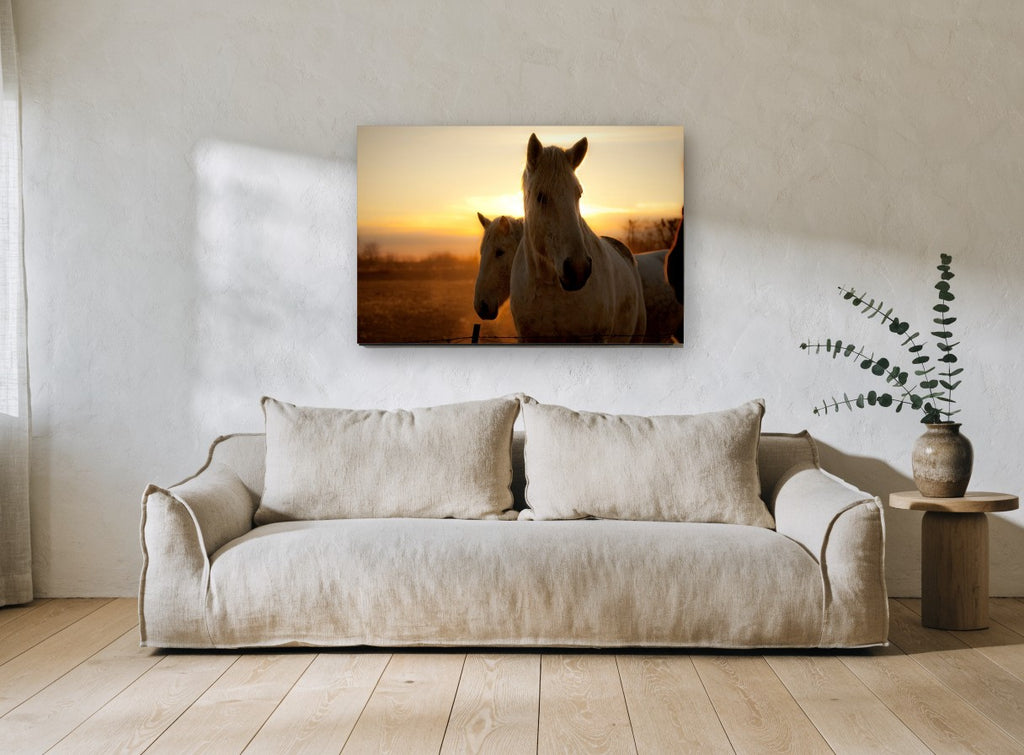 Horses at Golden Sunrise landscape canvas print on the wall of a living room
