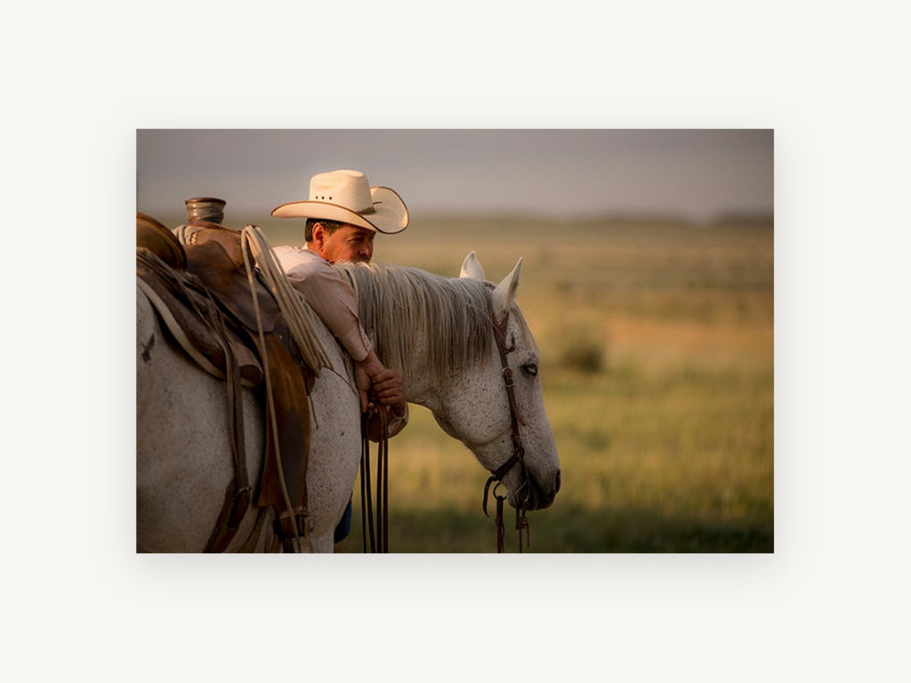 Quiet Rest at Dusk, cowboy and grey horse photograph, animal canvas wall art print, front view