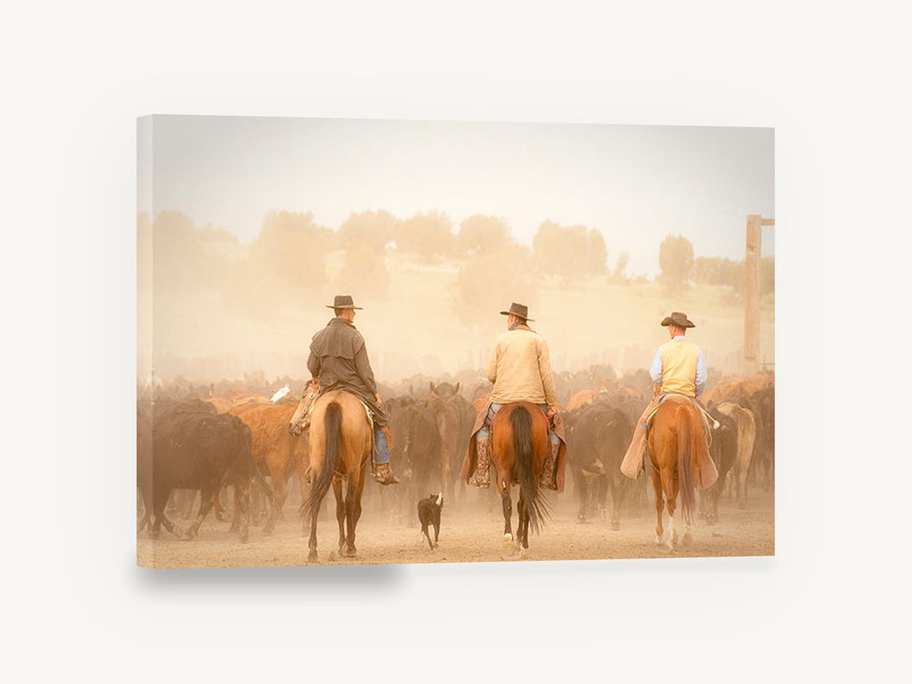 Dusty Cattle Drive, cowboys cattle drive horses photograph, animal canvas wall art print ready to hang