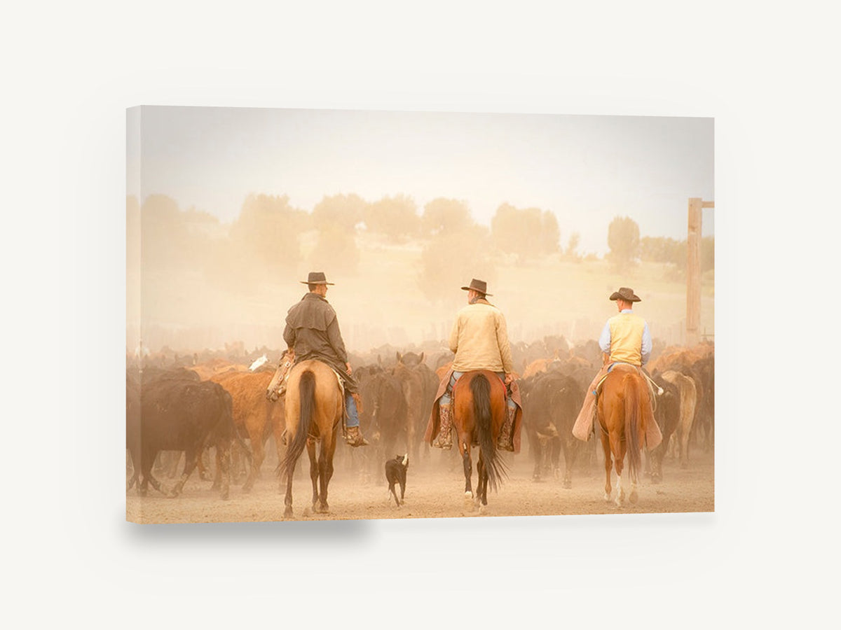 Dusty Cattle Drive, cowboys cattle drive horses photograph, animal canvas wall art print ready to hang