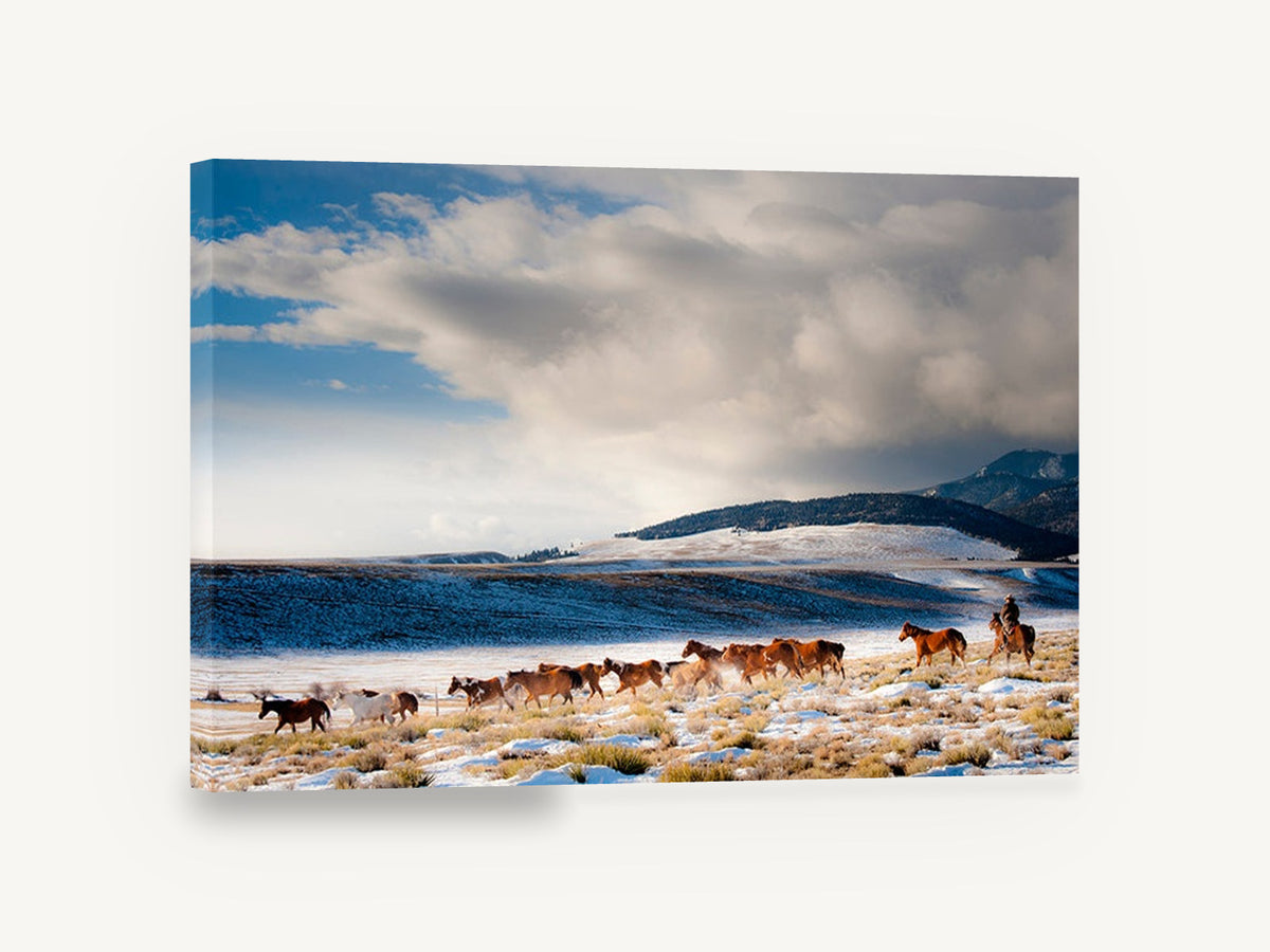 Winter Horse Muster, horses running snowy valley photograph, landscape canvas wall art print ready to hang