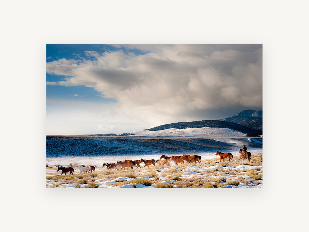 Winter Horse Muster, horses running snowy valley photograph, landscape canvas wall art print, front view