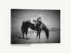 Waterhole Rest, horse drinking cowgirl black and white photograph, animal canvas wall art print ready to hang