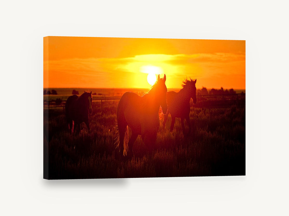 Horses at Sundown, silhouetted horses sunset field photograph, landscape canvas wall art print ready to hang