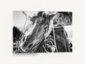 Working Horse Close-Up, black and white horse photograph, animal canvas wall art print ready to hang