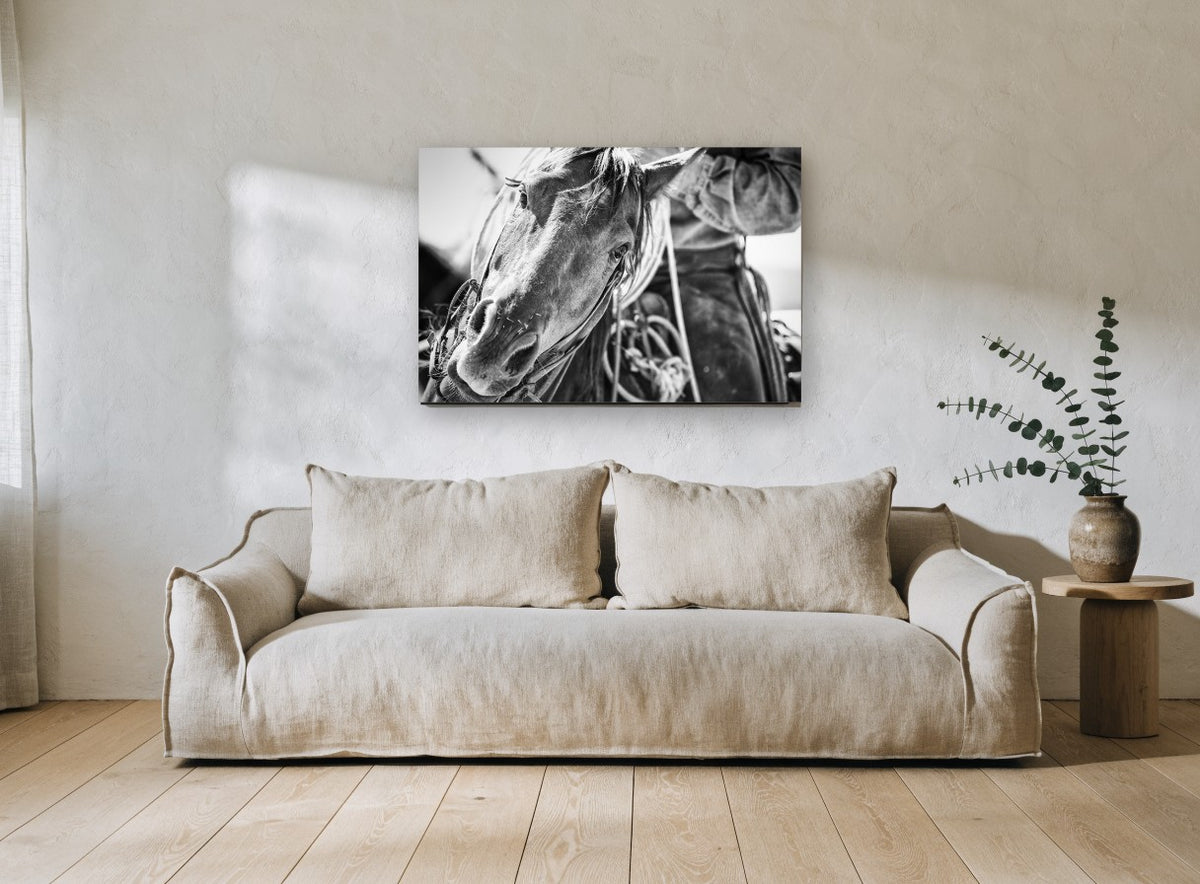 Working Horse Close-Up animal canvas print on the wall of a living room
