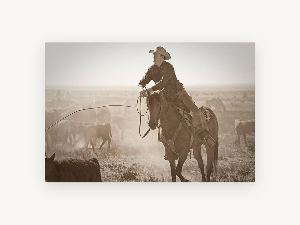 Dust and Cattle Rider, cowboy horse cattle sepia photograph, animal canvas wall art print, front view