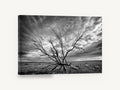 Bare Branches Storm, dead tree stormy sky black and white photograph, landscape canvas wall art print ready to hang