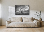 Bare Branches Storm landscape canvas print on the wall of a living room