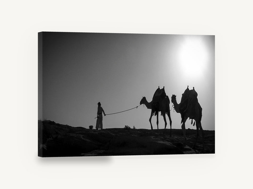 Ridge Line Caravan, camels desert silhouette black and white photograph, landscape canvas wall art print ready to hang