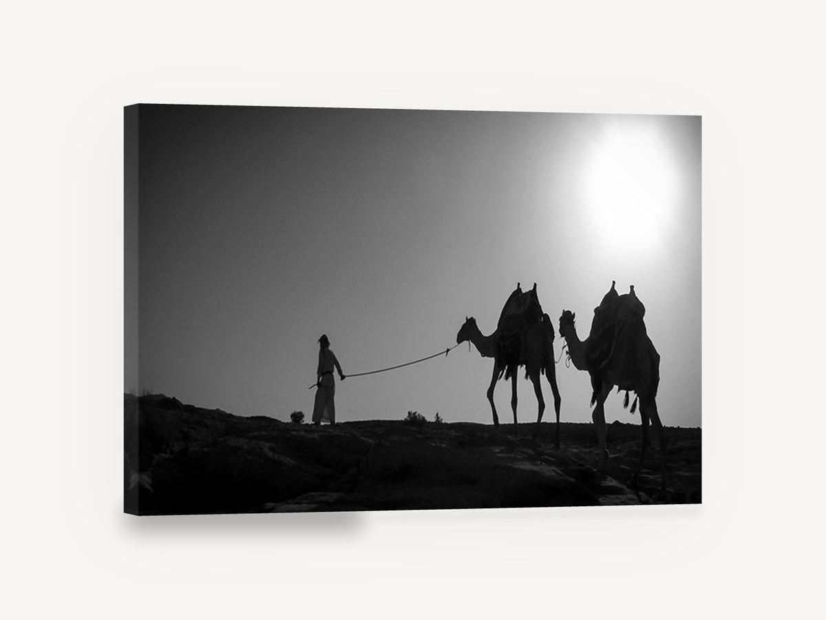 Ridge Line Caravan, camels desert silhouette black and white photograph, landscape canvas wall art print ready to hang