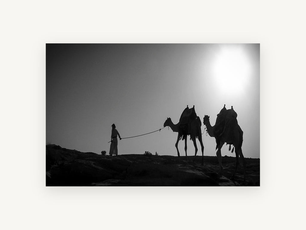 Ridge Line Caravan, camels desert silhouette black and white photograph, landscape canvas wall art print, front view