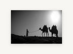 Ridge Line Caravan, camels desert silhouette black and white photograph, landscape canvas wall art print, front view