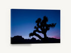 Joshua Tree Dusk, joshua tree silhouette dusk photograph, landscape canvas wall art print ready to hang
