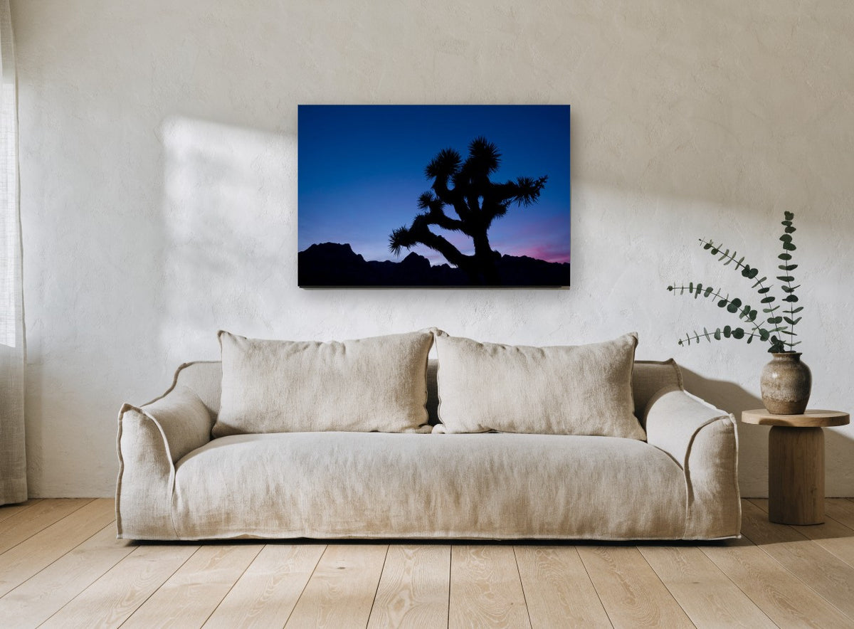 Joshua Tree Dusk landscape canvas print on the wall of a living room