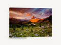 Alpenglow Meadow Tarn, alpine meadow sunset mountain photograph, landscape canvas wall art print ready to hang
