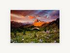 Alpenglow Meadow Tarn, alpine meadow sunset mountain photograph, landscape canvas wall art print, front view
