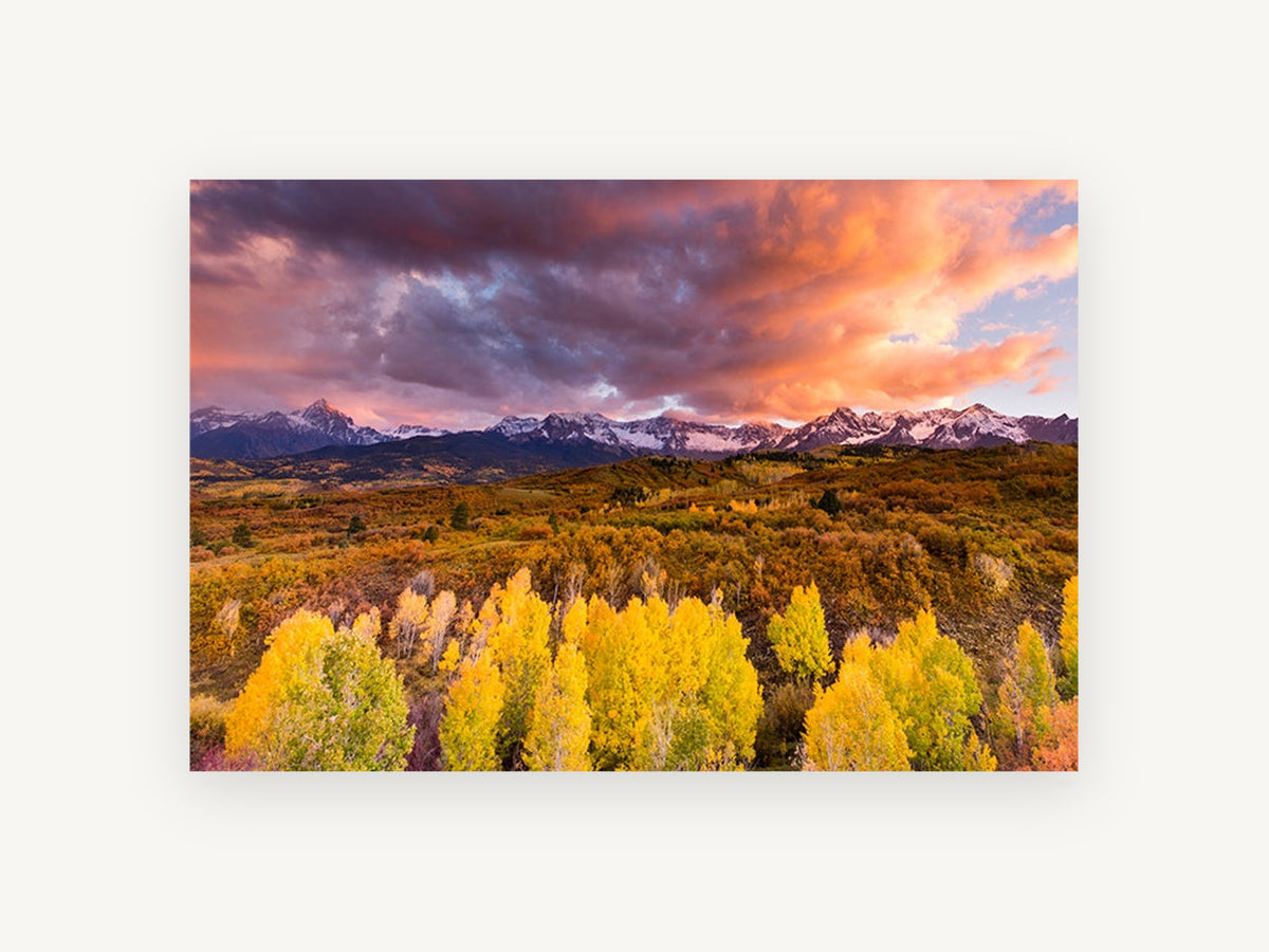 Aspen Gold Ridge, autumn aspens snowy mountain sunset photograph, landscape canvas wall art print, front view