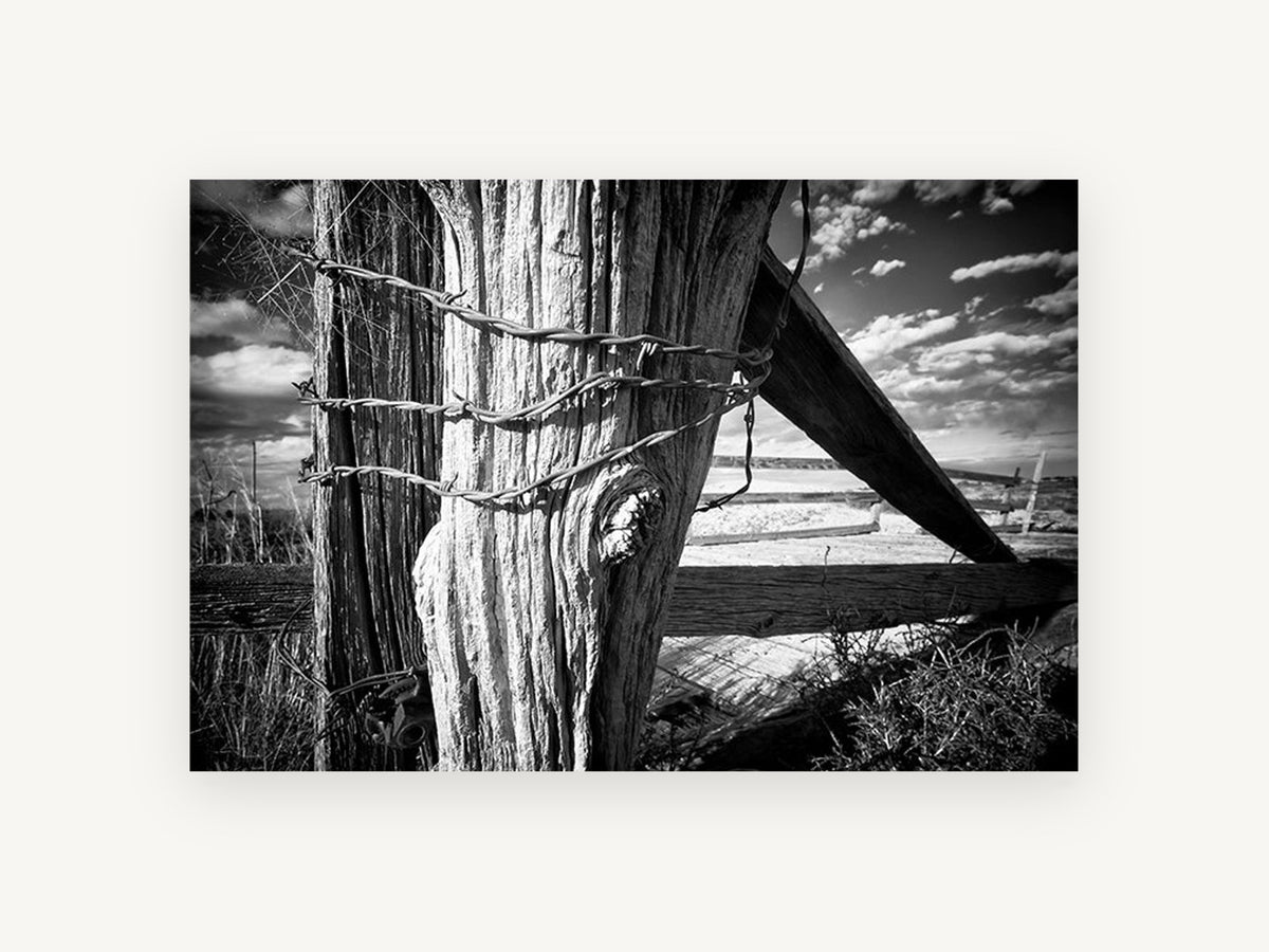 Weathered Fence Post, black and white fence post photograph, landscape canvas wall art print, front view