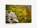 Autumn Lake Edge, autumn lake shoreline forest photograph, landscape canvas wall art print ready to hang
