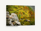 Autumn Lake Edge, autumn lake shoreline forest photograph, landscape canvas wall art print ready to hang