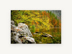 Autumn Lake Edge, autumn lake shoreline forest photograph, landscape canvas wall art print, front view