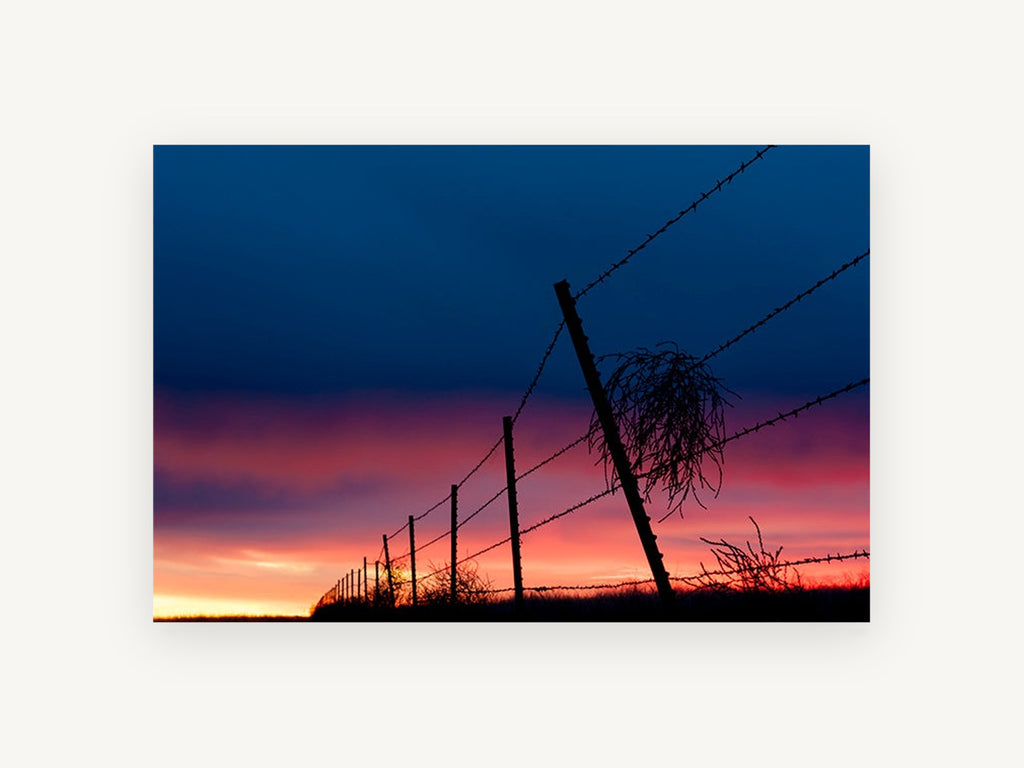 Tumbleweed at Dusk, barbed wire fence sunset photograph, landscape canvas wall art print, front view