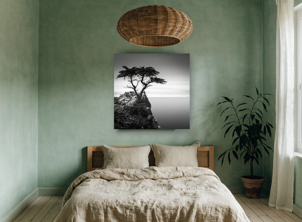 Lone Cypress Headland coastal canvas print on the wall of a bedroom