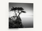 Lone Cypress Headland, lone cypress black and white seascape, coastal canvas wall art print ready to hang