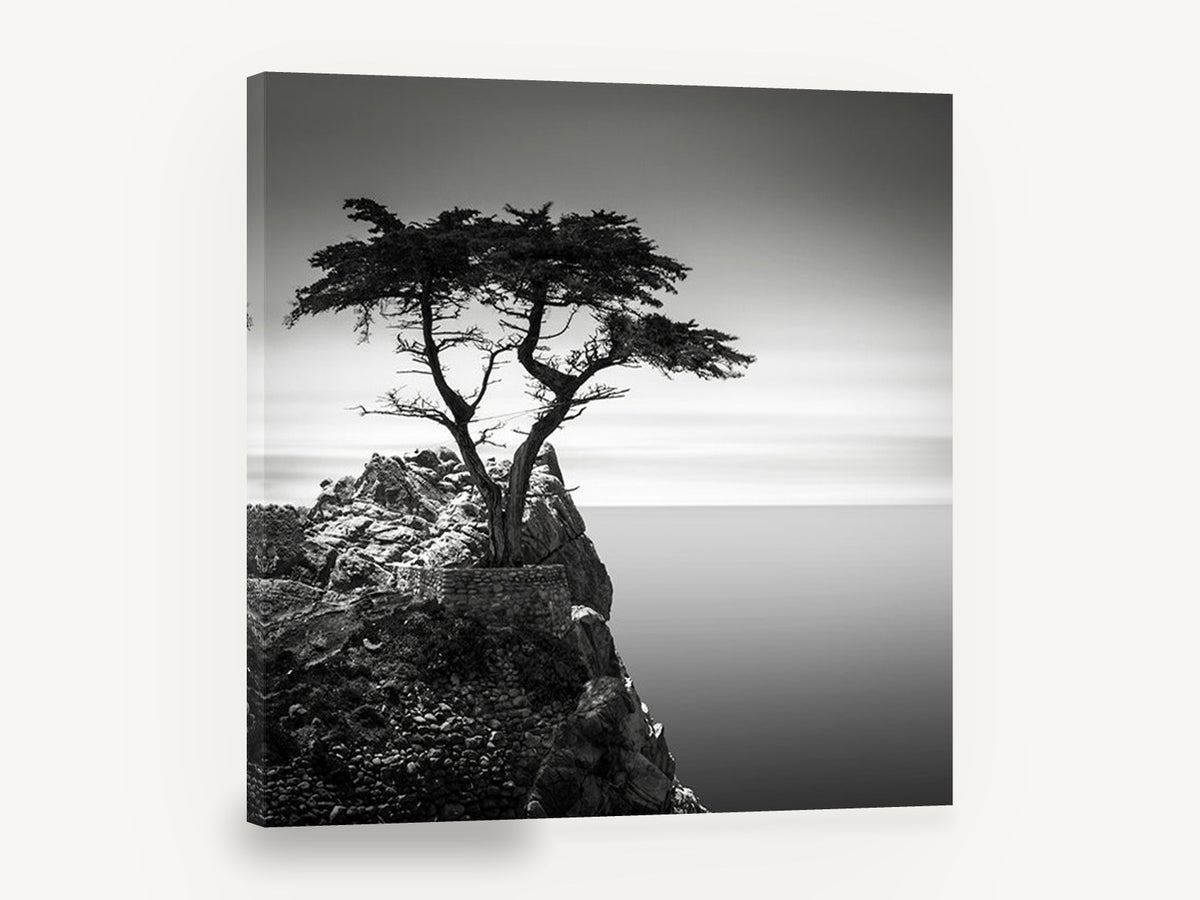 Lone Cypress Headland, lone cypress black and white seascape, coastal canvas wall art print ready to hang