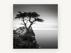Lone Cypress Headland, coastal canvas wall art print, front view