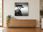 Lone Cypress Headland coastal canvas print on the wall of a living room above a sideboard