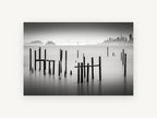 Silent Pilings, black and white pilings bay photograph, landscape canvas wall art print, front view
