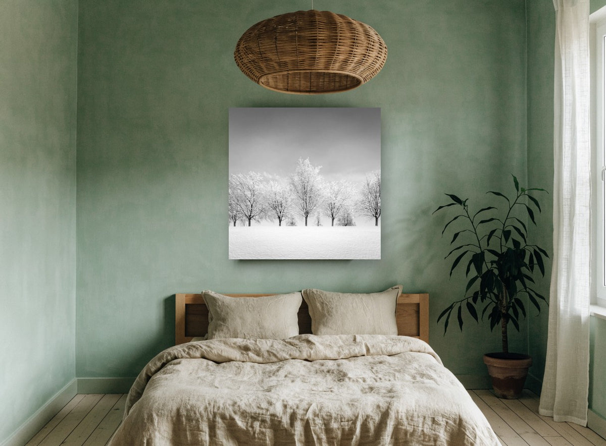 Frosted Tree Row landscape canvas print on the wall of a bedroom