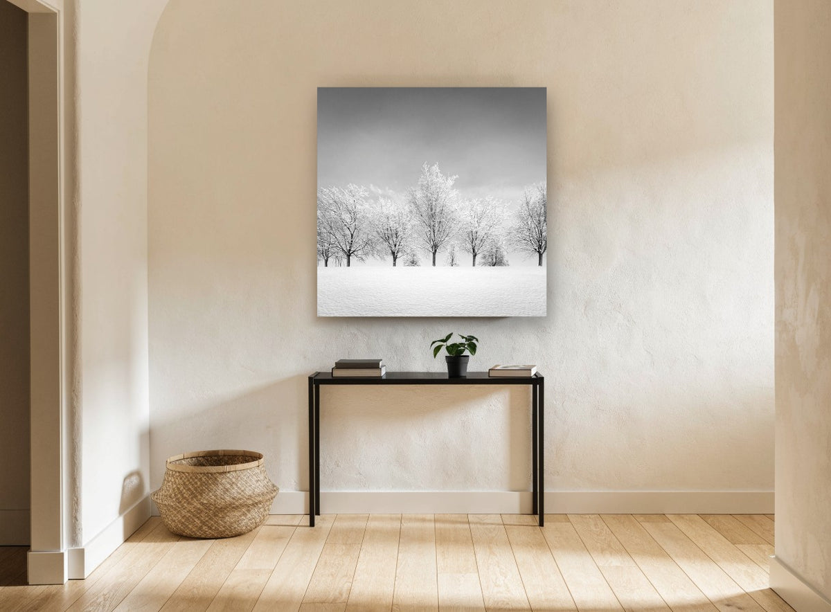 Frosted Tree Row landscape canvas print on the wall of a hallway