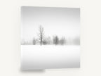Quiet Winter Fog, foggy winter trees black and white photograph, landscape canvas wall art print ready to hang
