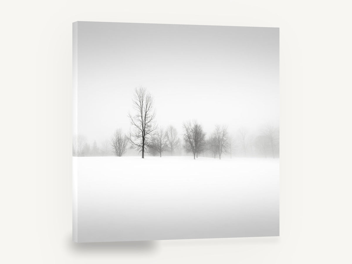 Quiet Winter Fog, foggy winter trees black and white photograph, landscape canvas wall art print ready to hang
