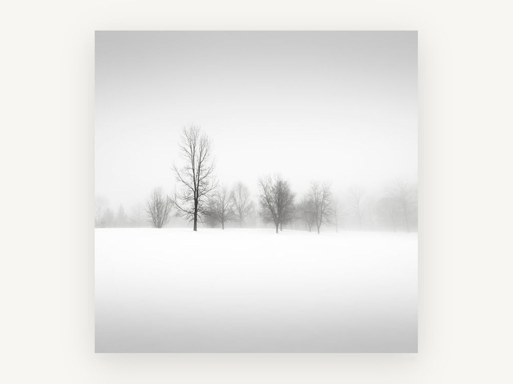 Quiet Winter Fog, foggy winter trees black and white photograph, landscape canvas wall art print, front view