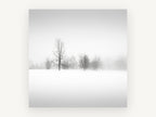 Quiet Winter Fog, foggy winter trees black and white photograph, landscape canvas wall art print, front view