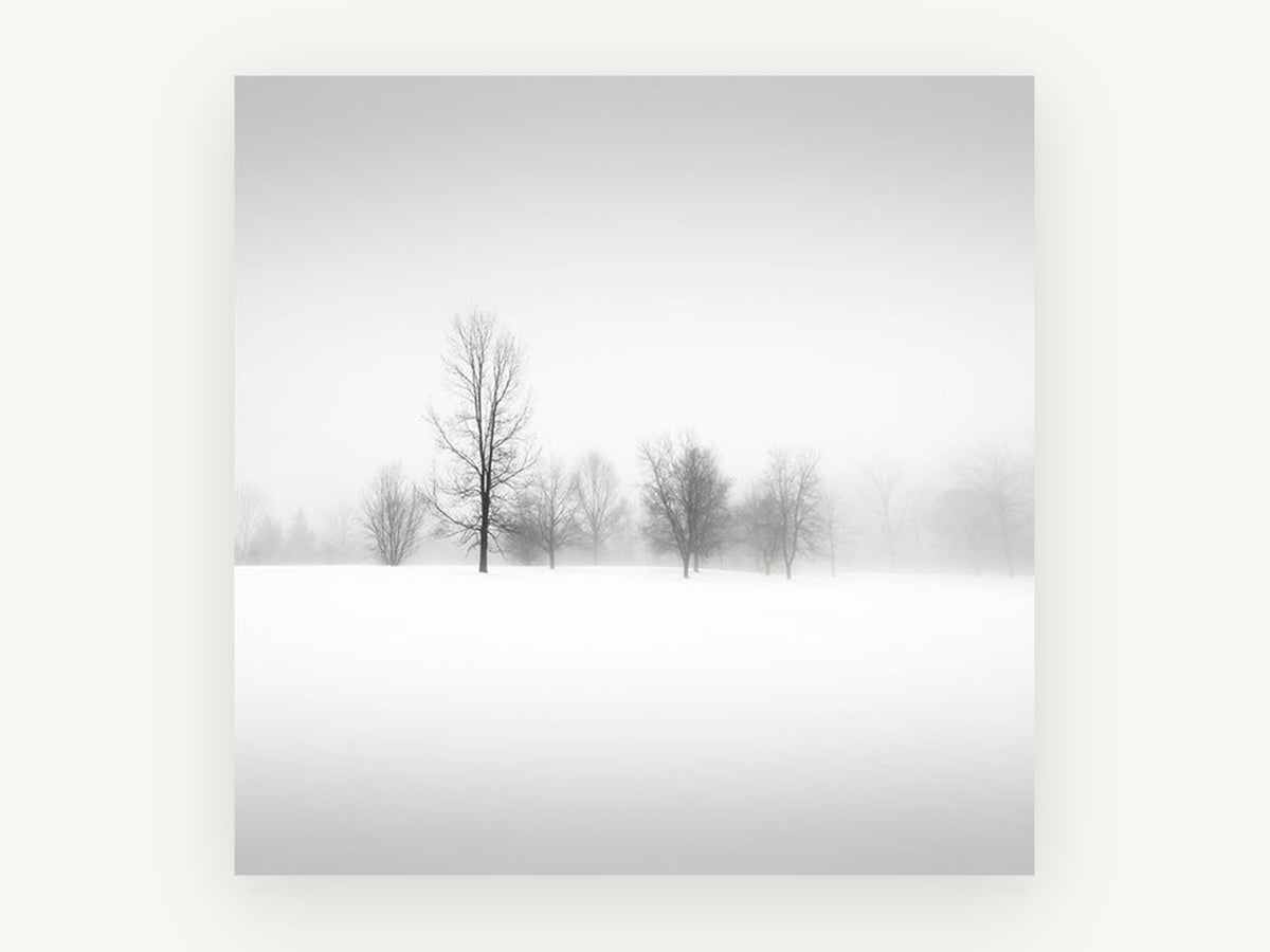 Quiet Winter Fog, foggy winter trees black and white photograph, landscape canvas wall art print, front view